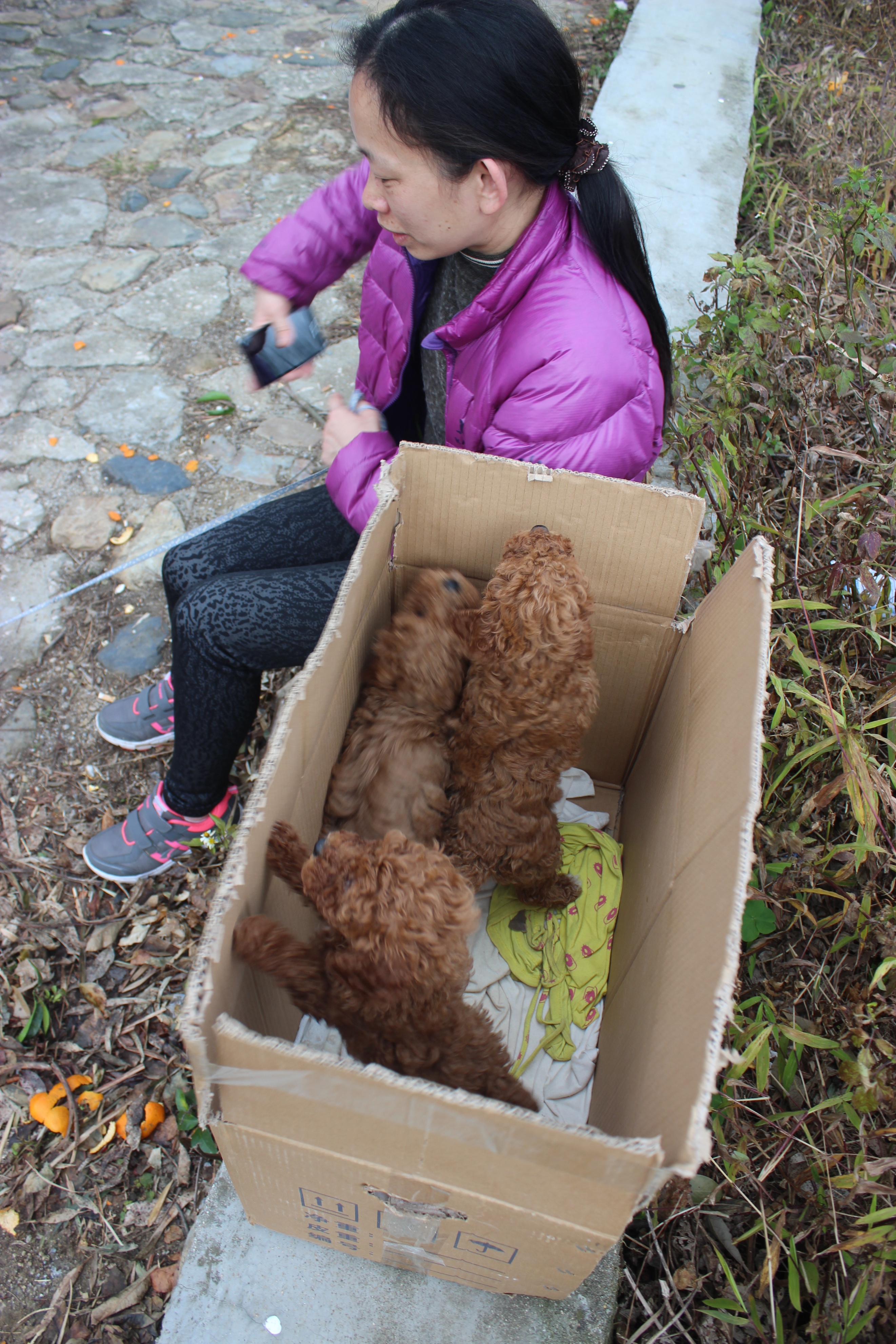 赣州周末出游攻略,春节赣州出发2-3天短途旅游