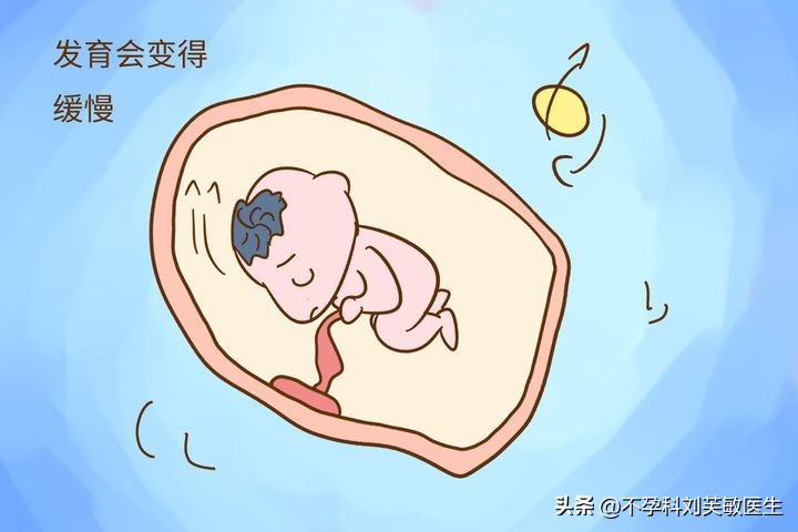 保胎之早孕期超声检查,怀孕初期保胎怎么检测