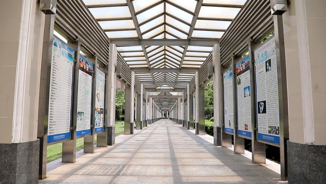 粤港澳湾区四所世界百强大学,广外国际学校值得读吗