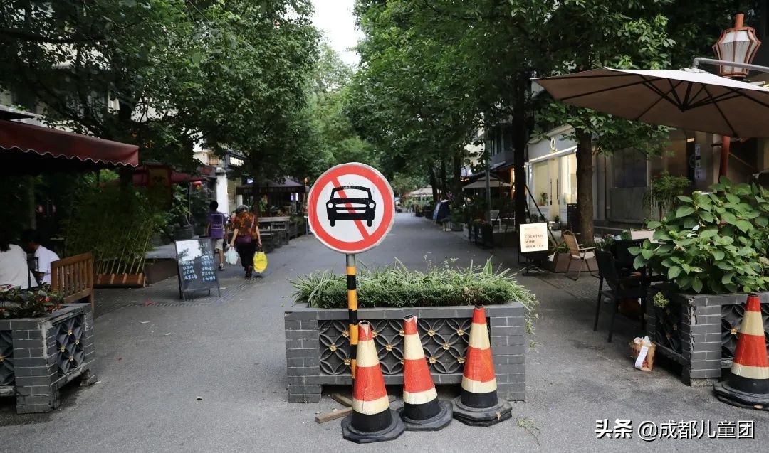 泡桐树街区,北京泡桐树街