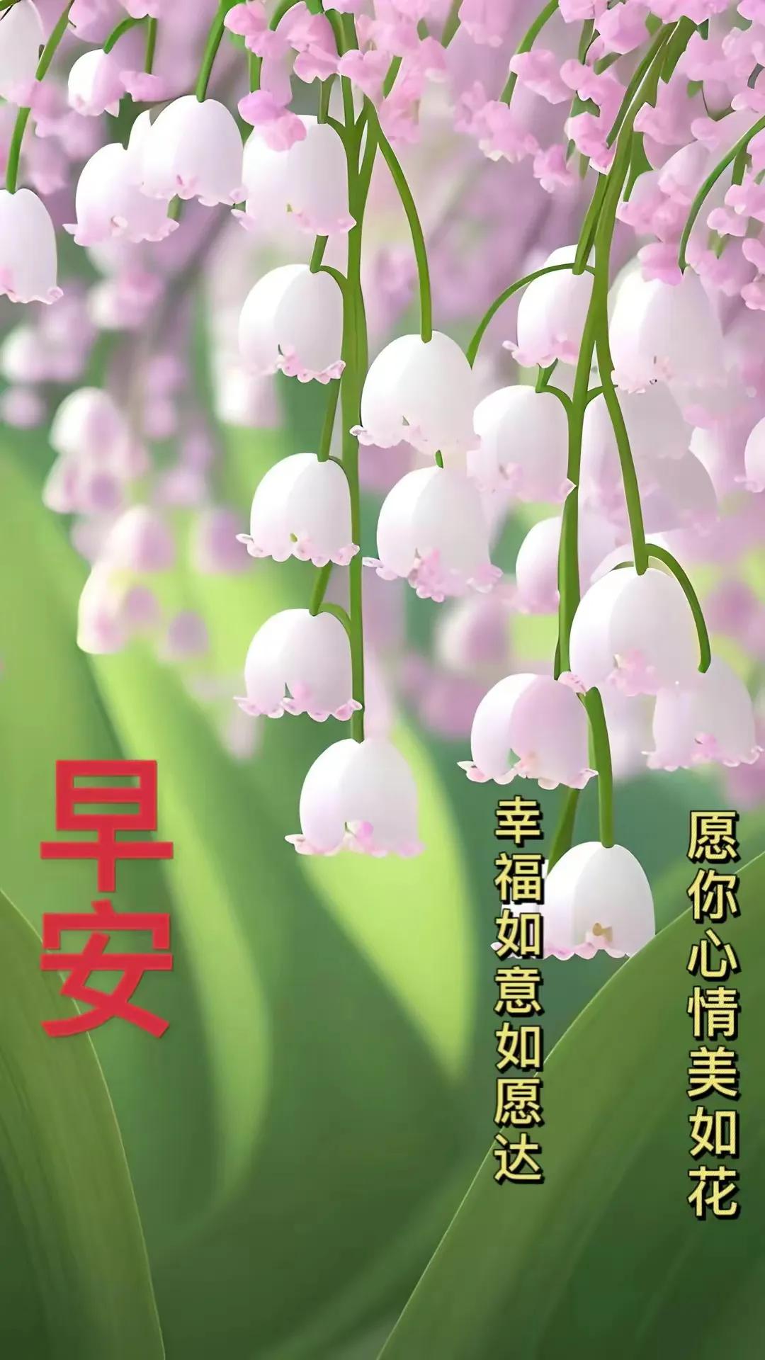 早安祝福图片大全,早安祝福图片大全2022年