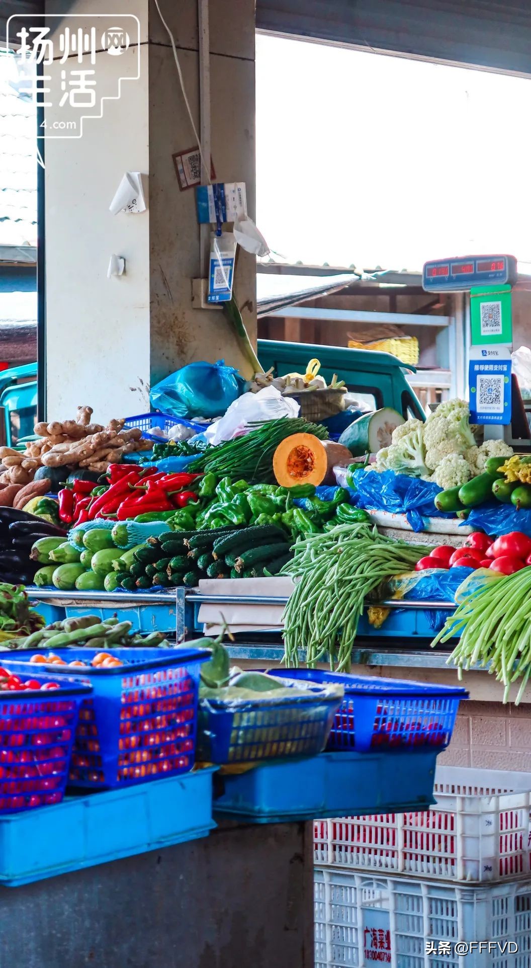 逛扬州菜市场,扬州最有烟火气息的菜场