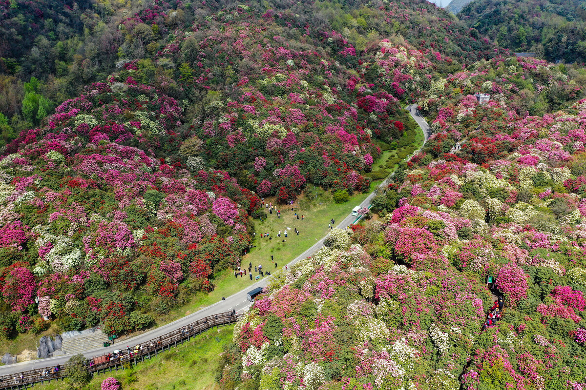 夏天去哪里游凉都六盘水,贵州六盘水哪个地方最凉快