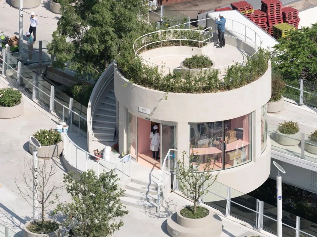 评价高颜值的神评论,高颜值高评价