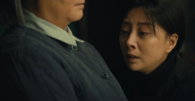 袁泉演的好看的剧有哪些,袁泉和赵丽颖混剪