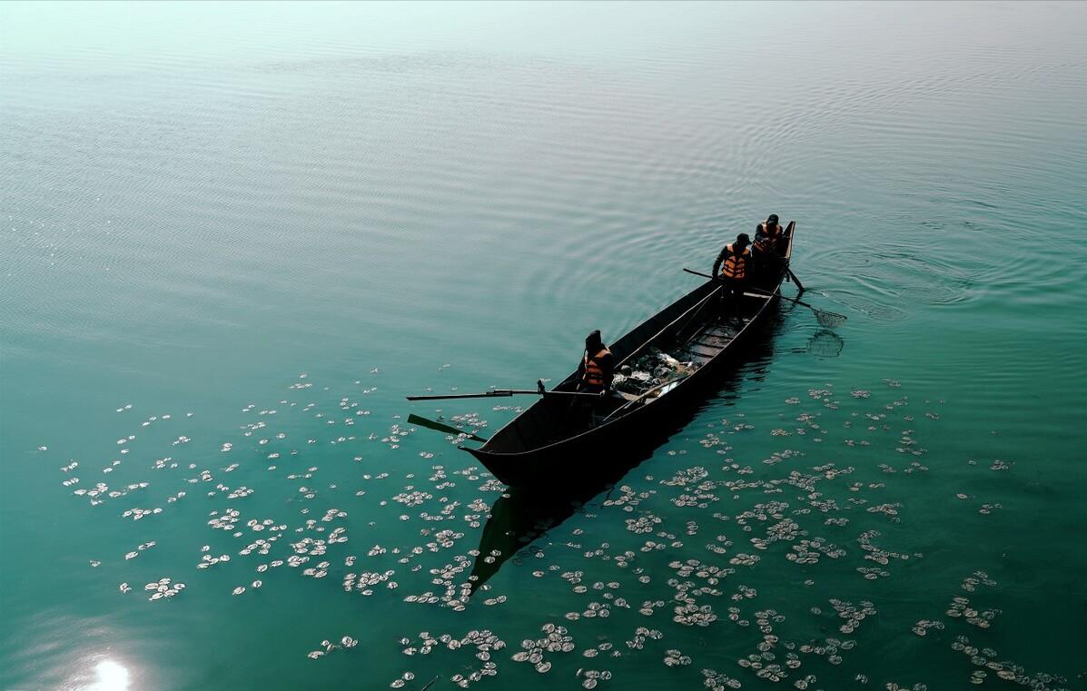 昆明滇池臭湖,滇池到底怎么样了