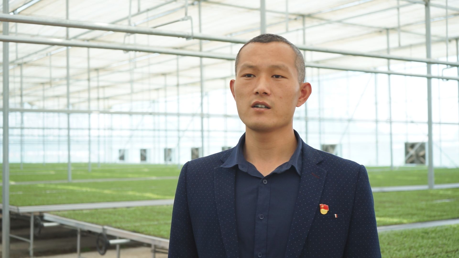 扶沟县12万亩蔬菜基地,扶沟万亩果蔬基地在哪里