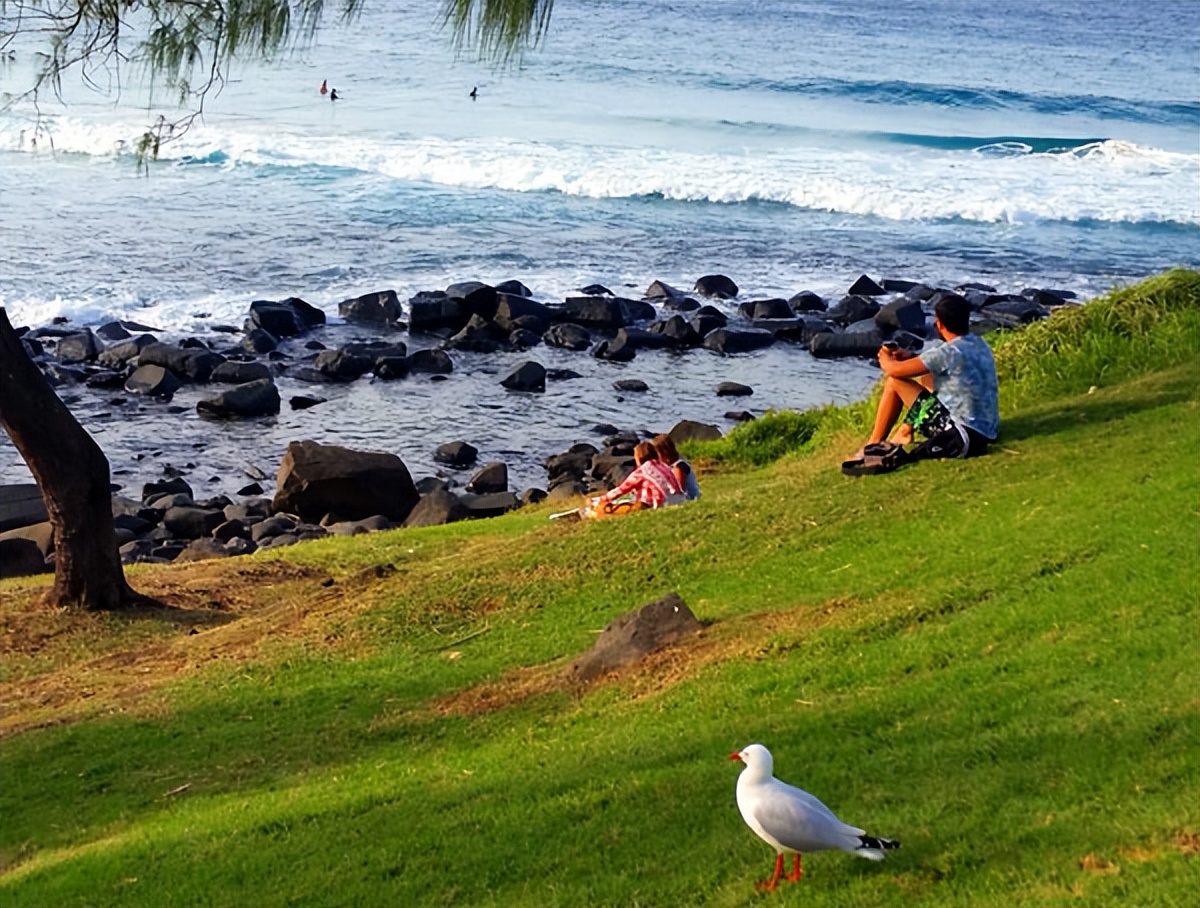 昆士兰洲纯玩自由行攻略,大洋洲除了澳大利亚哪里适合旅游