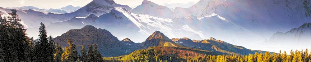 回收1吨垃圾能赚多少钱,垃圾回收一天能赚多少钱