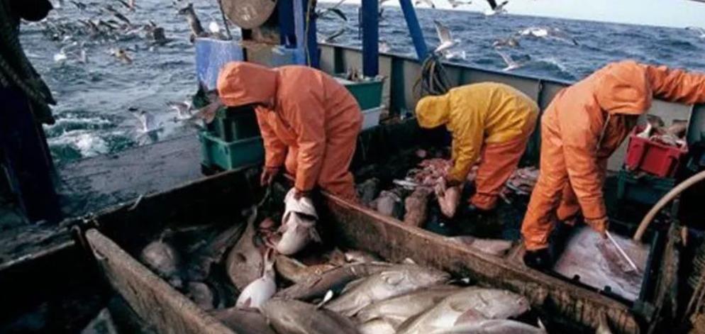 冰岛有多奇葩,冰岛奇特现象有多少