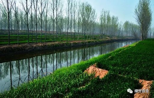 我的舅爷,我的舅爷知乎