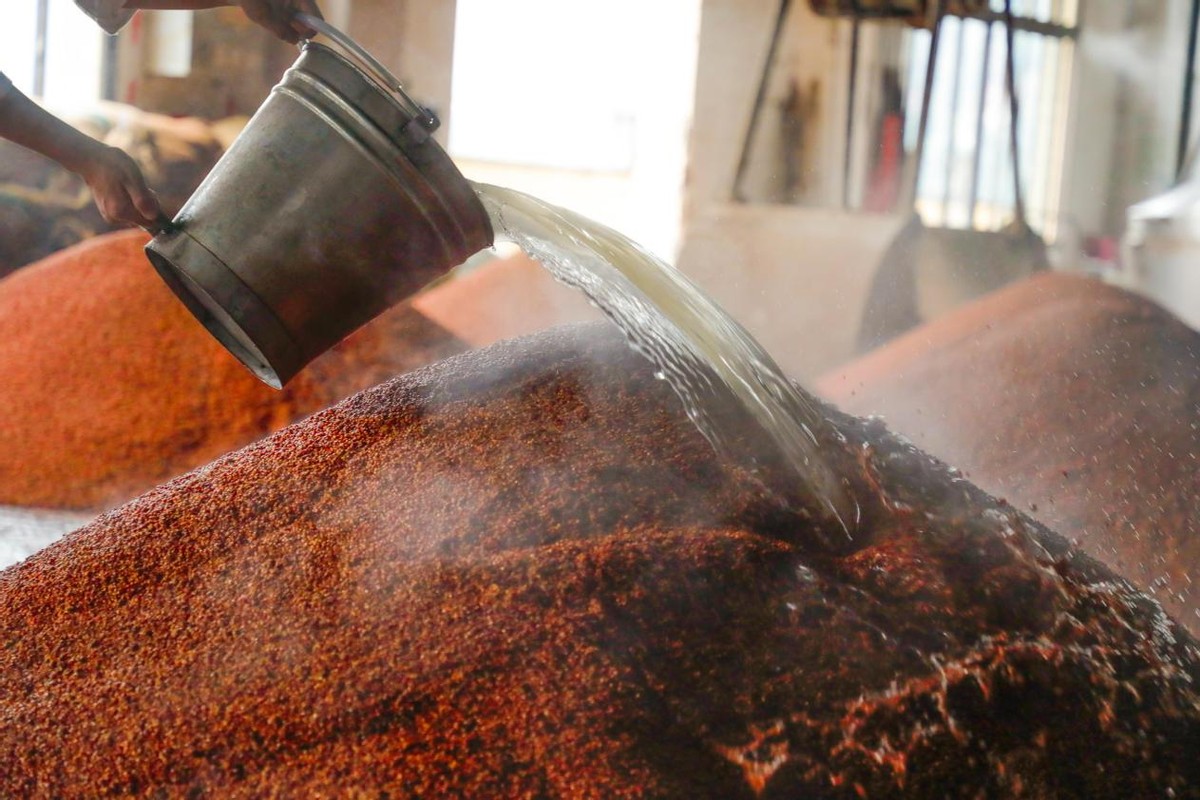 全国哪的“口粮酒”最好喝?经评鉴,这4款榜上有名,有你家乡吗