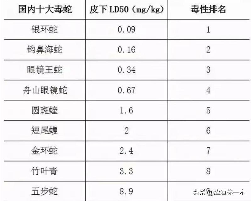 剧毒蝰蛇,毒性最强的蝰蛇