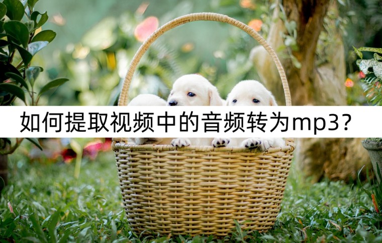 瑙嗛鎬庝箞鎻愬彇鎴愰煶棰憁p3,鎵嬫満鎶婅棰戦煶涔愭彁鍙栨垚mp3