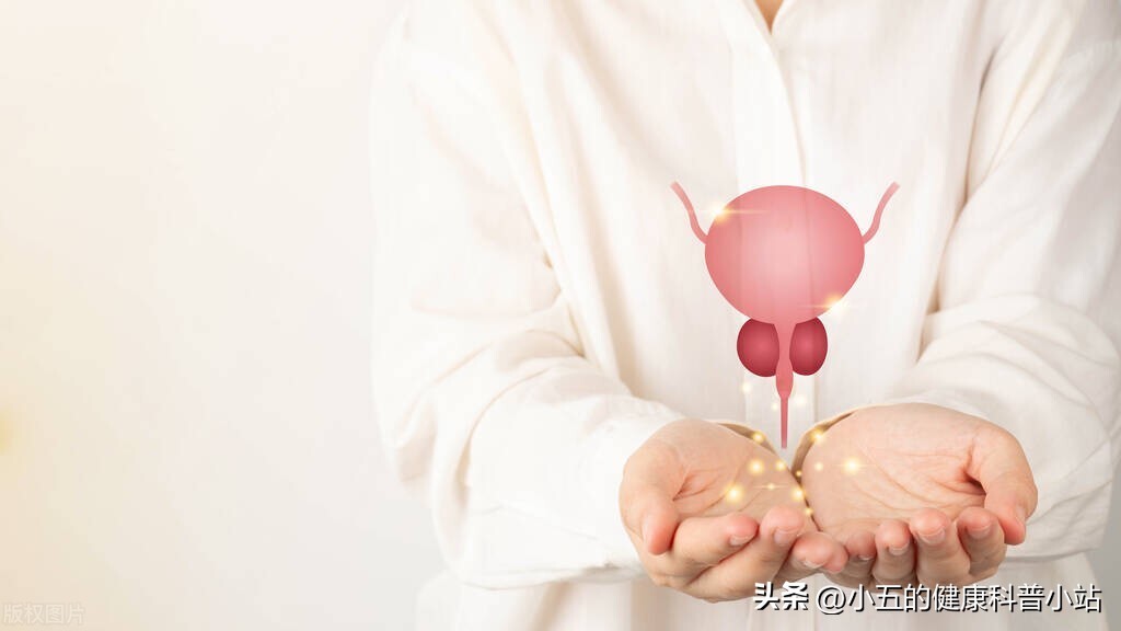 清热解毒，利湿通淋，谈谈治疗慢性前列腺炎的中成药—宁泌泰胶囊