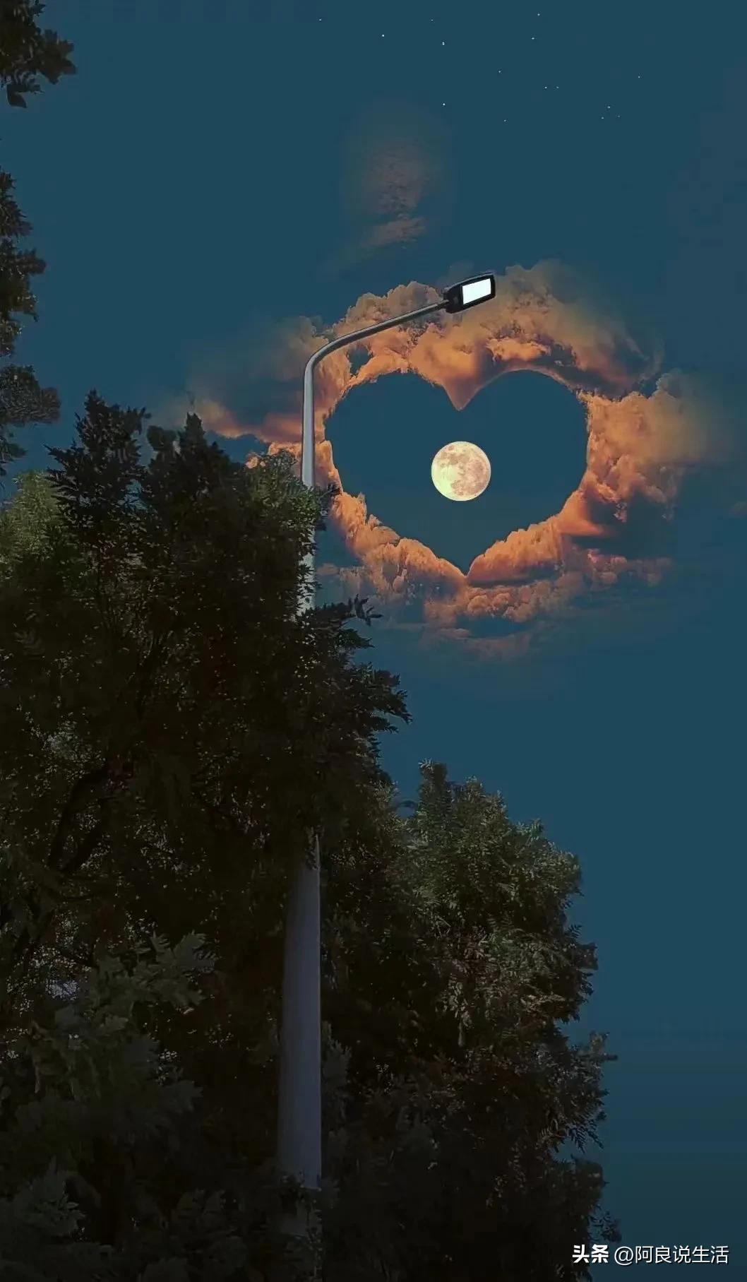 购房指标价格表,购房指标怎么操作