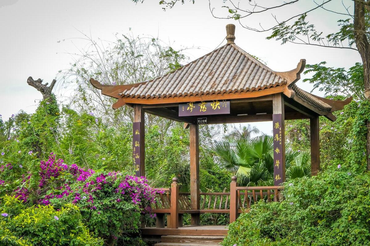 中国古代十大书院简介,中国历史上有几个出名书院