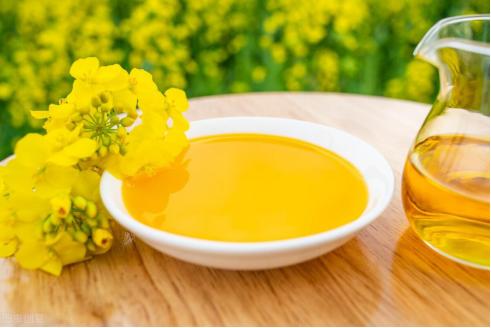 健康食用油无添加剂,食用油健康成分