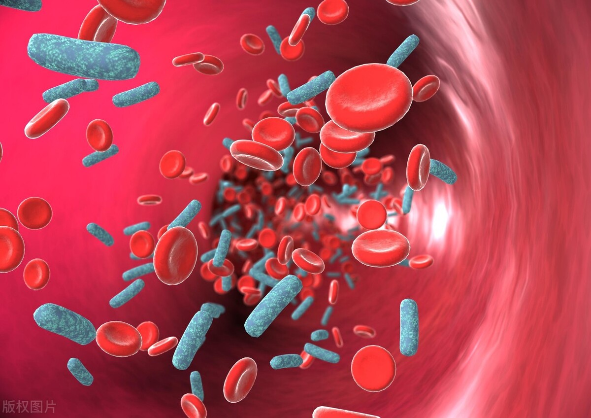 血管斑块能不能自己消除,血管病能治好吗