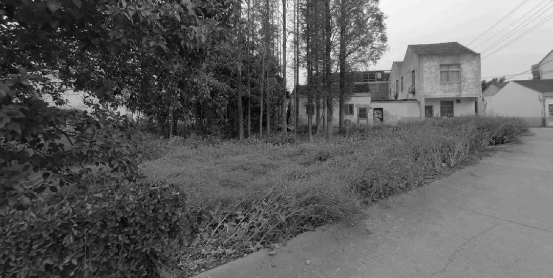 从民宿到整村运营,从民宿到民宿集群