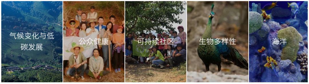 梁思成林徽因创办营造学社,梁思成在营造学社的成就