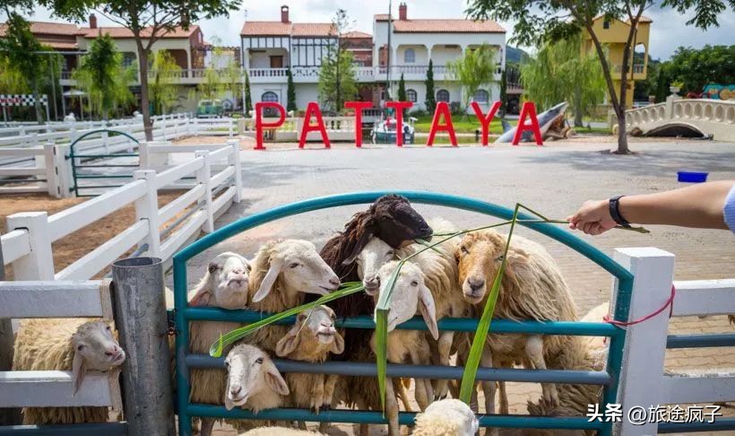 芭提雅泰国旅游攻略,泰国芭提雅旅游全攻略