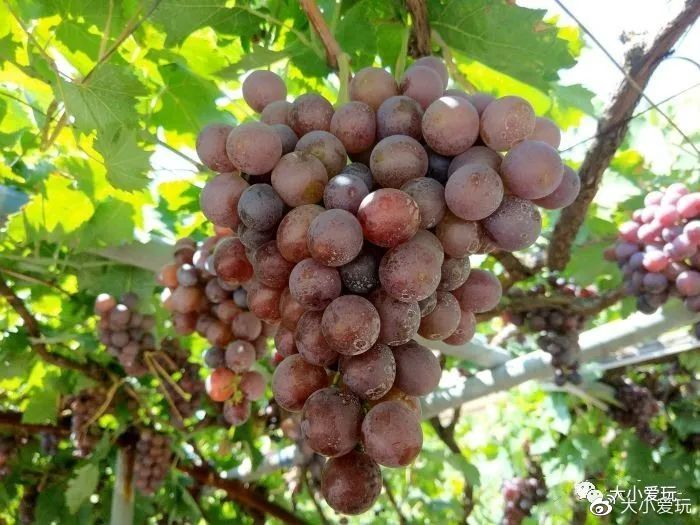 北京周边也有这么多超好逛的小镇、古镇、小山村，门票全免费！