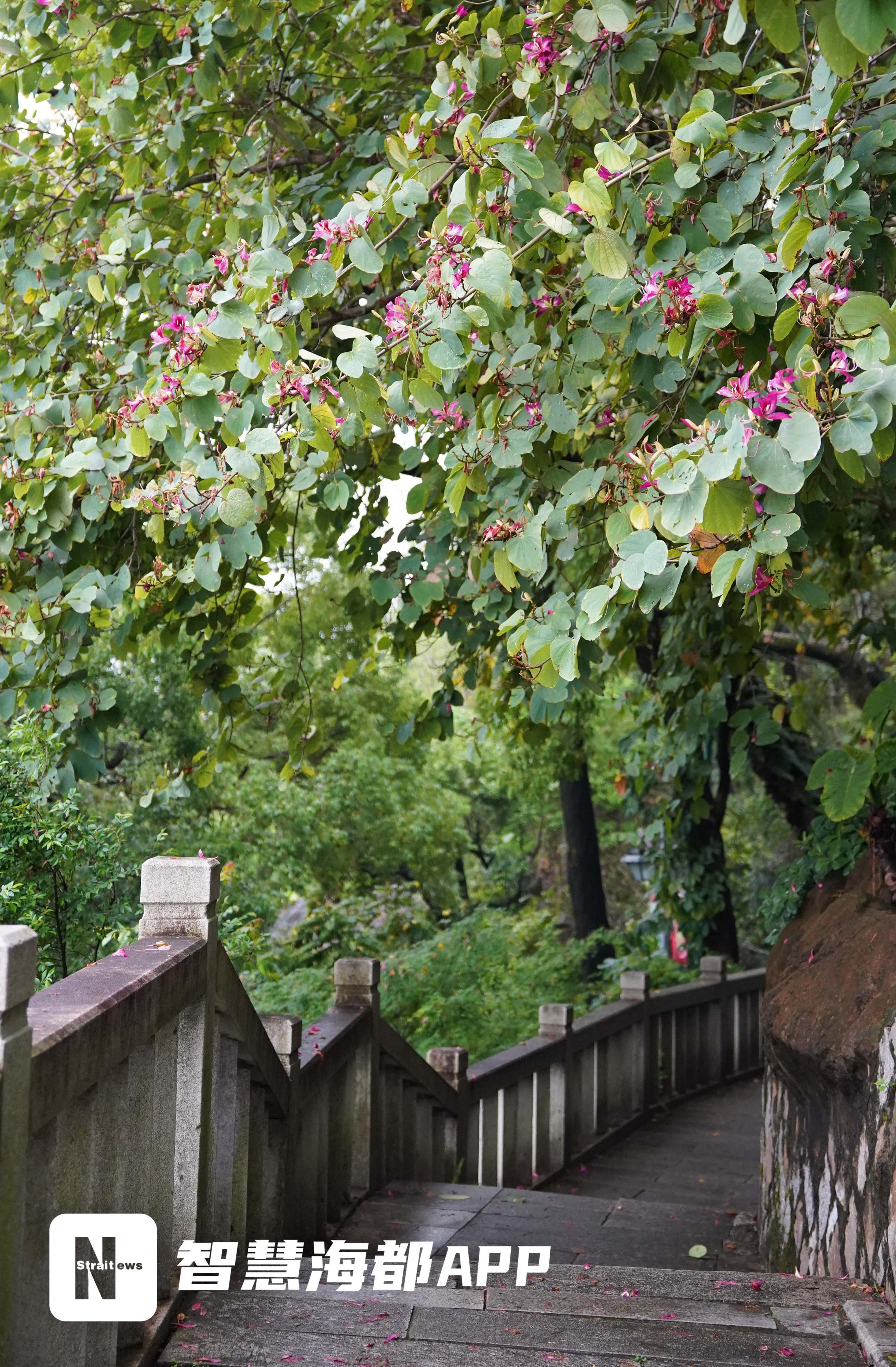 春渐远夏将至谷雨前后气温,春渐远夏将至谷雨过后再无寒