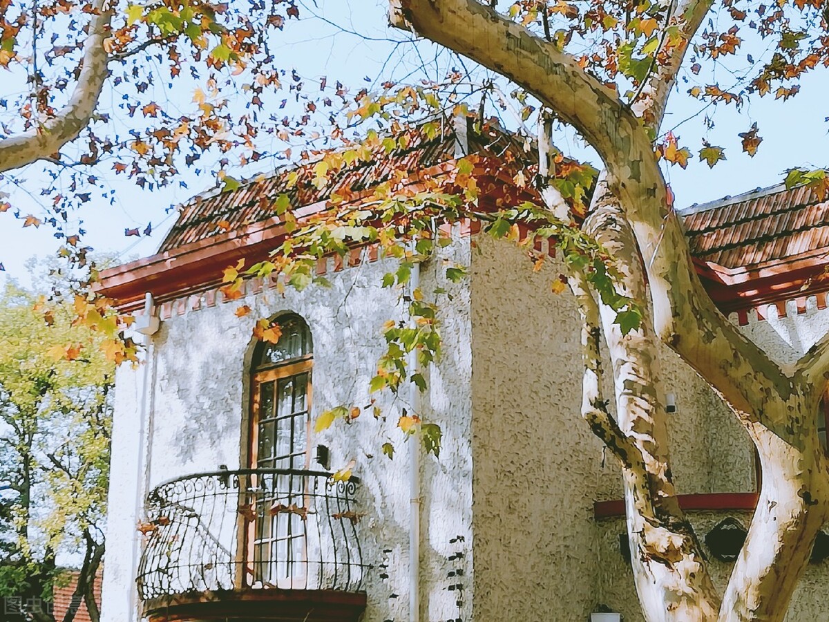 试管亲身经历全过程,试管孕妇移植56天要注意什么