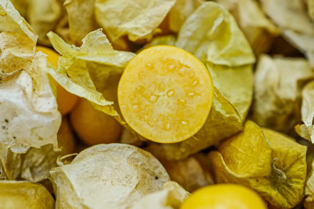 东北美食特产网购,东北网购美食视频