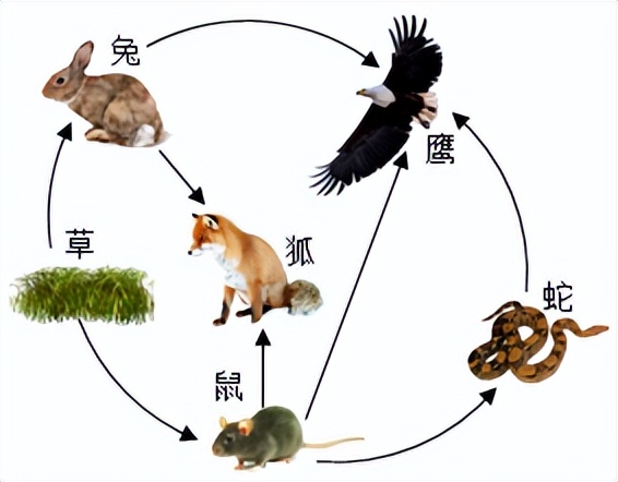 2021年甘肃省兰州市中考生物试卷