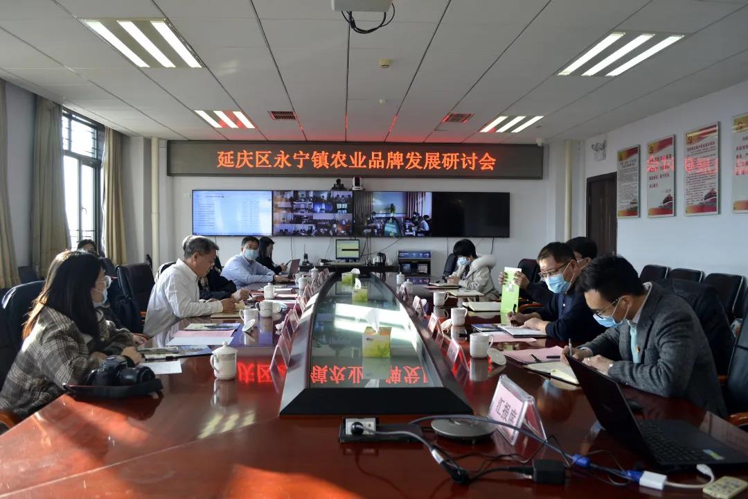 做好特色农业,扎实推进食用菌产业高质量发展