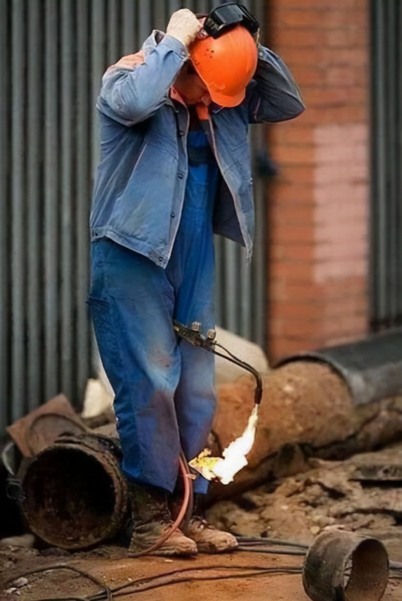 真实大象的照片,在野外拍到的真实大象