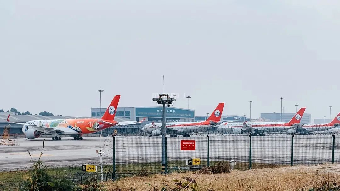 成都成华区城东体育公园,体育公园和大河口哪个值得玩