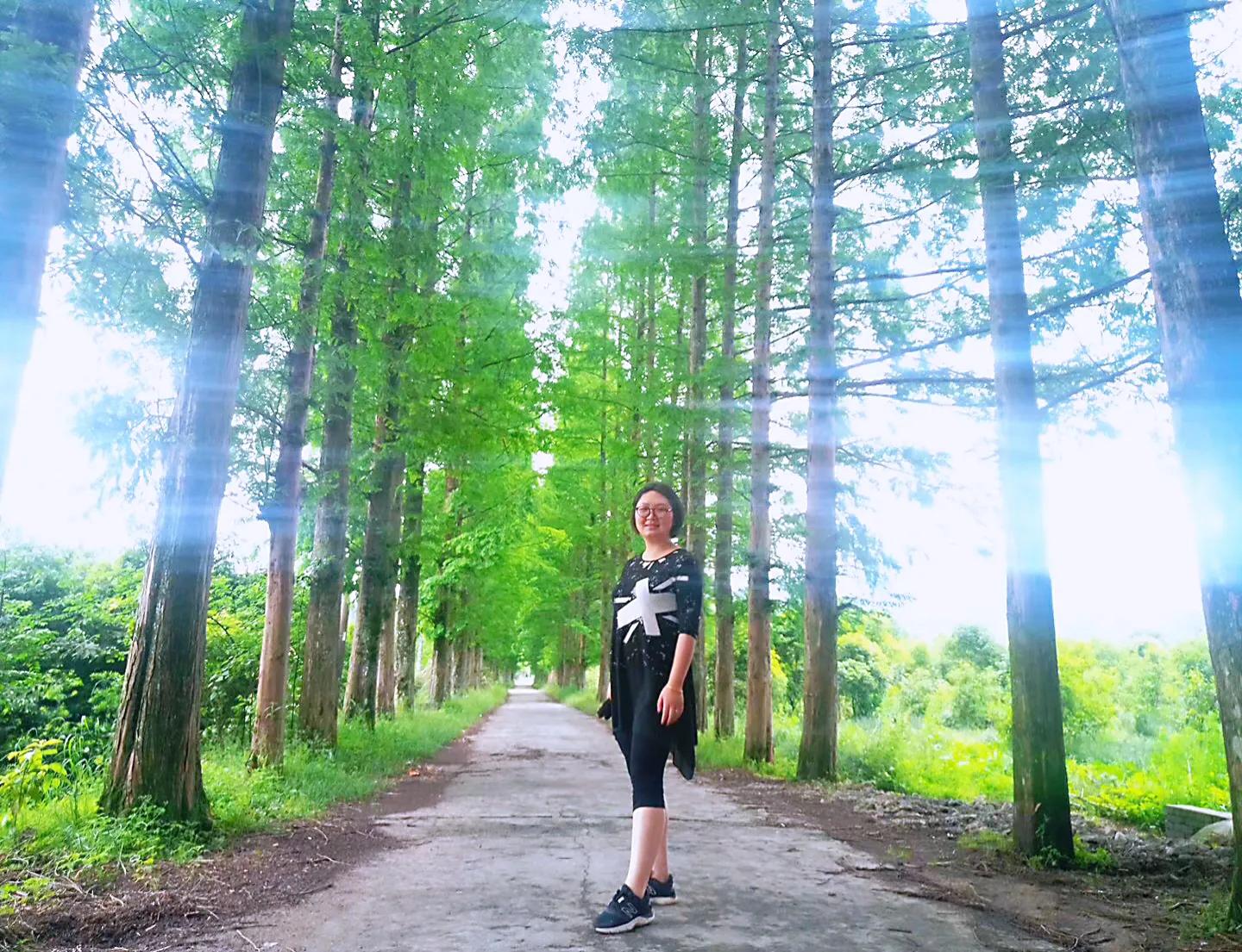 江西铜鼓天柱峰汤里一日游,铜鼓天柱峰和汤里温泉二日游