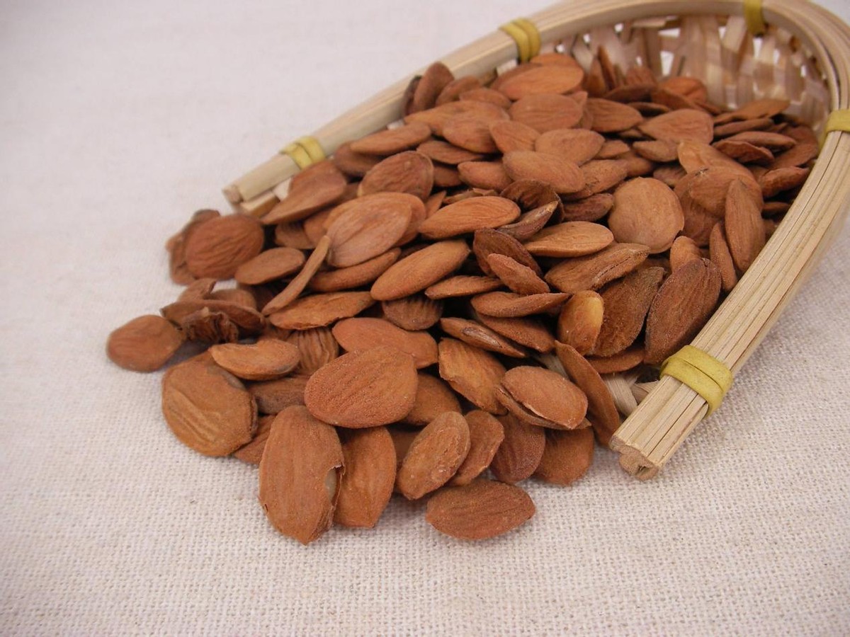 脾肾两虚肝硬化中药处方,肝硬化瘀血中医治疗方法