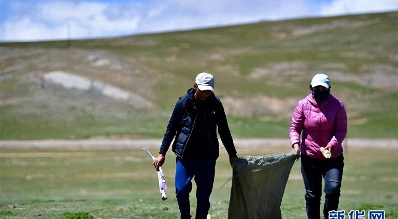 青海人口少适合干什么,青海人口流出的地方