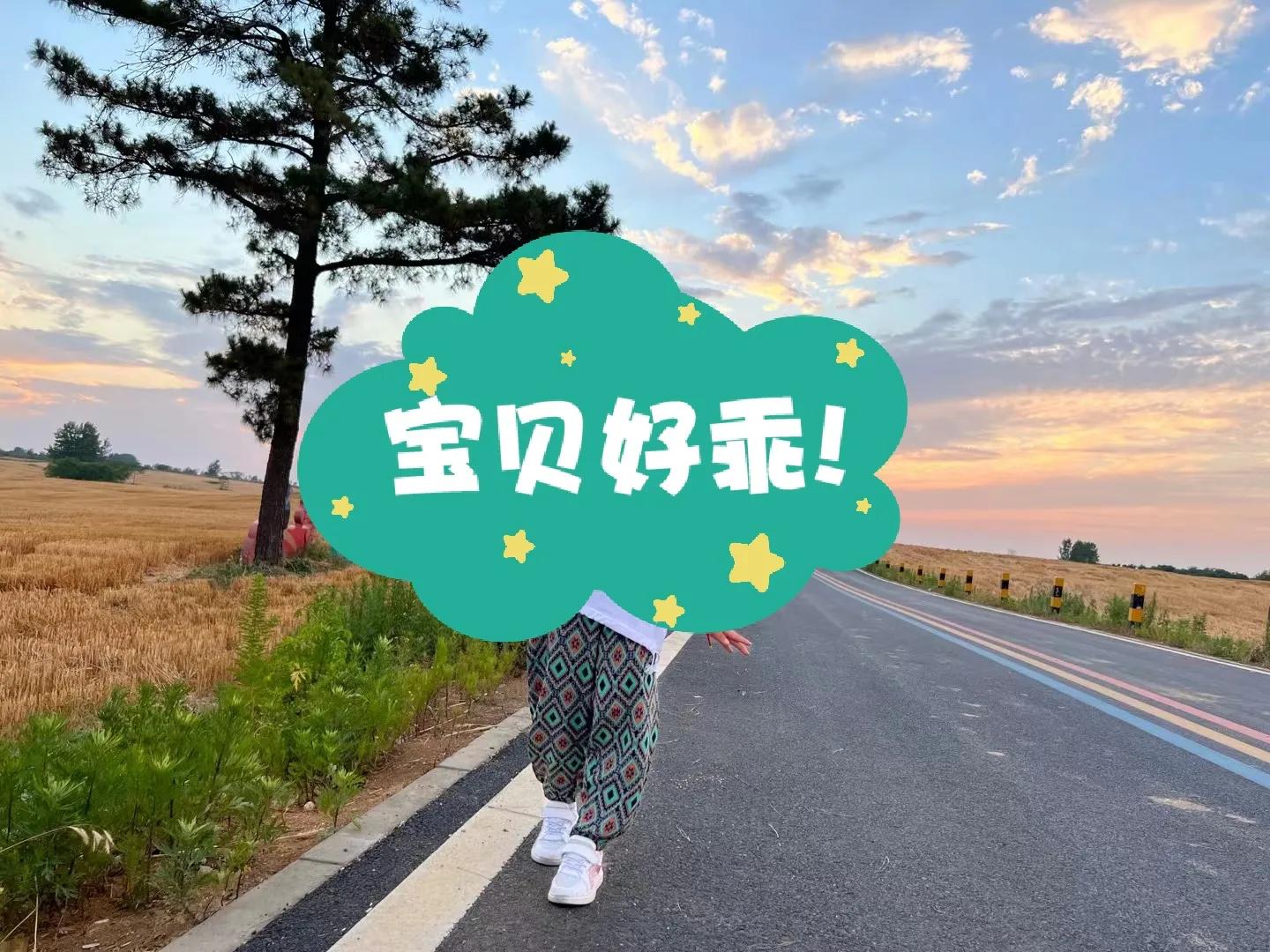 合肥蜀山小岭南可以开车上去吗,端午来蜀山小岭南饱览乡村风景