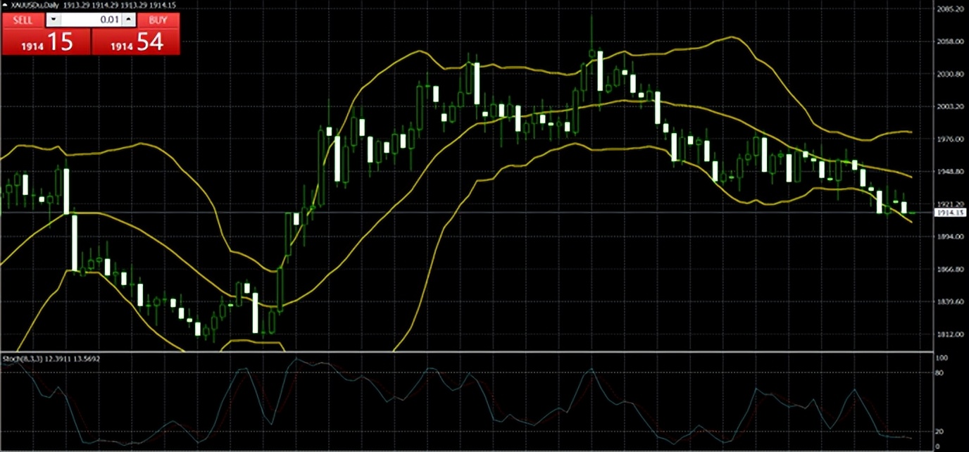 第一金2021,第一金2022比赛回放