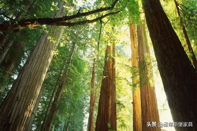 圣蒂斯堡新古典入户,圣蒂斯堡新中式