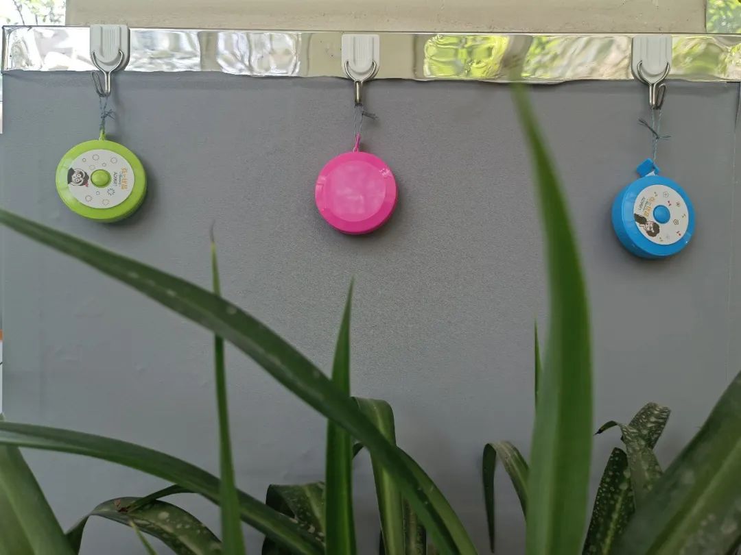 倾听儿童相伴成长主题墙幼儿园,倾听儿童相伴成长幼儿园小班视频