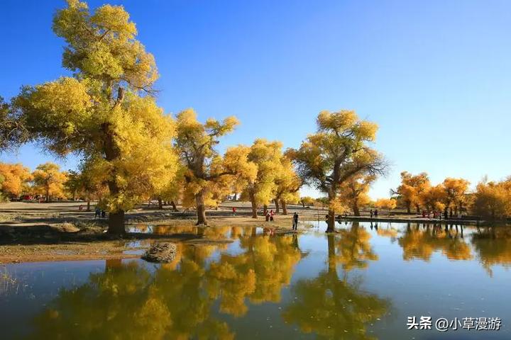 大西北旅游有哪些景点值得去,大西北旅游的攻略有哪些