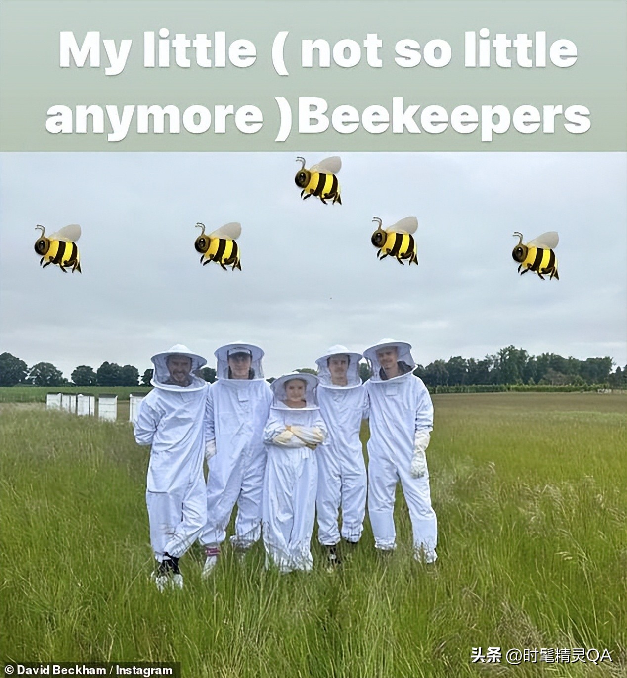 贝克汉姆自家农场,贝克汉姆家农场