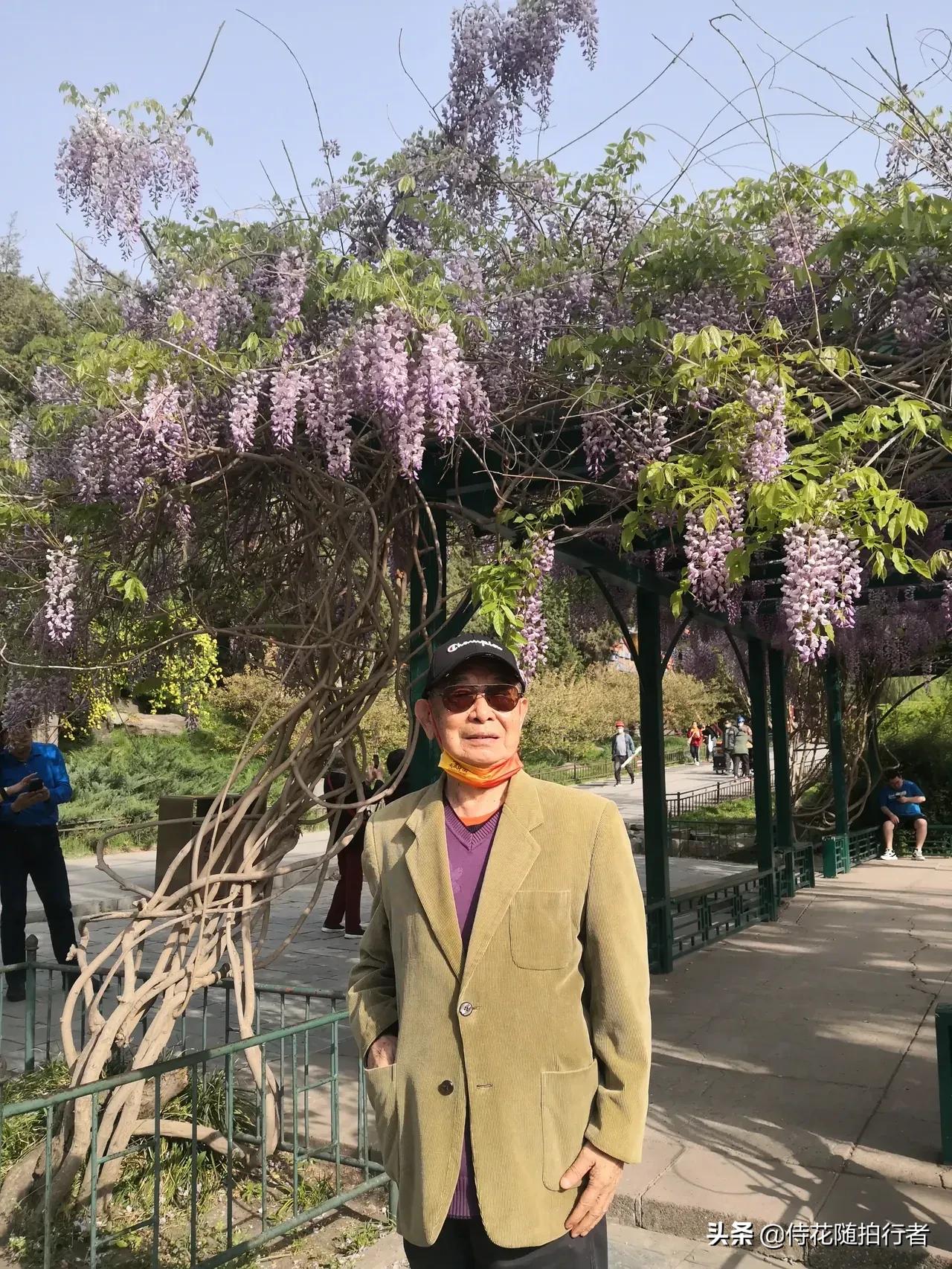 有关玉兔的推文,中国玉兔号航天新闻评述