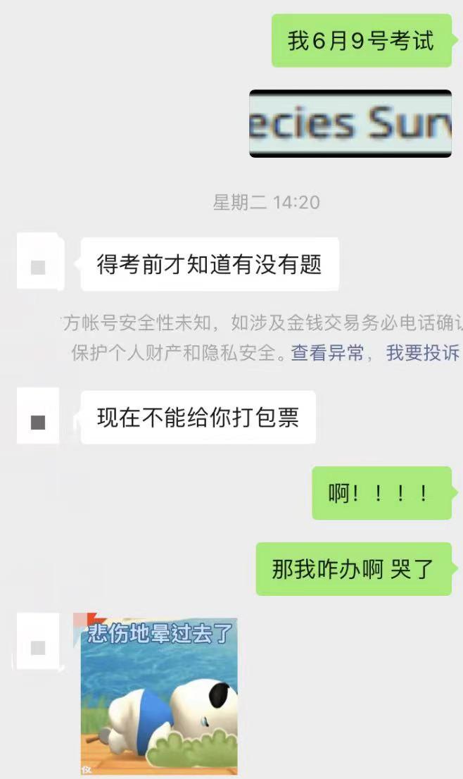 现实版天才枪手,天才枪手价值五百万