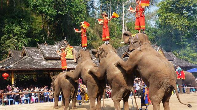 云南元江避寒,云南冬天最温暖的地方在哪里