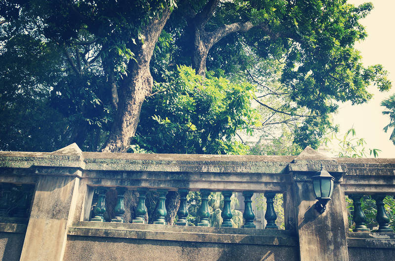 internationalbusiness专业,什么专业就业前景最好且工资最高