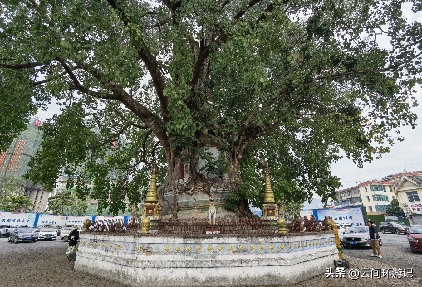 缇庝附寰峰畯娴极涔嬫梾,婕父寰峰畯