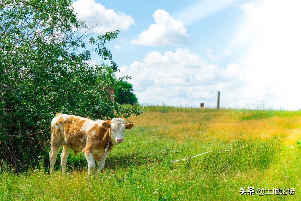 家庭农场注册资金和贷款有关系吗,家庭农场有没有必要注册商标