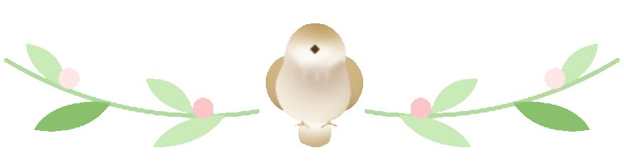 4种中药常用药,经方治消化道疾病